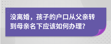 没离婚，孩子的户口从父亲转到母亲名下应该如何办理？