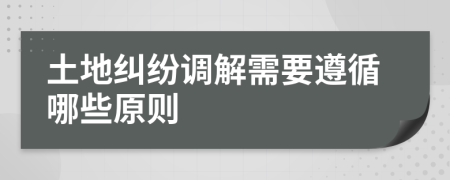 土地纠纷调解需要遵循哪些原则