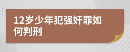 12岁少年犯强奸罪如何判刑