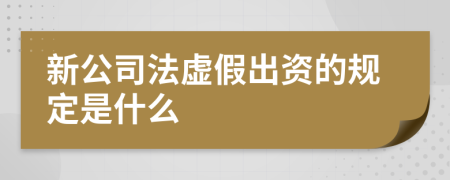 新公司法虚假出资的规定是什么