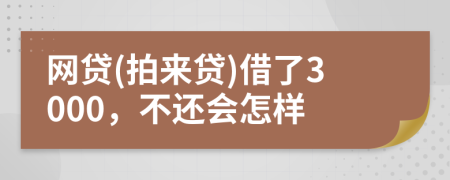 网贷(拍来贷)借了3000，不还会怎样
