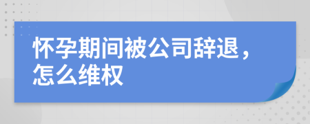 怀孕期间被公司辞退，怎么维权