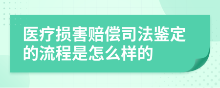 医疗损害赔偿司法鉴定的流程是怎么样的
