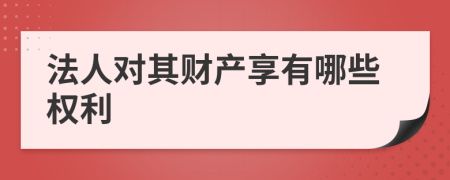 法人对其财产享有哪些权利