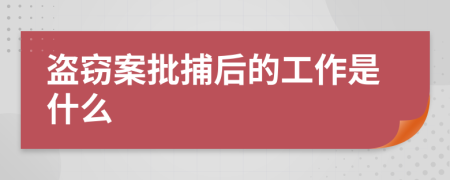 盗窃案批捕后的工作是什么