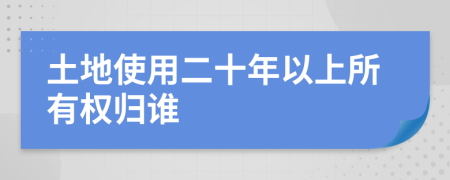 土地使用二十年以上所有权归谁