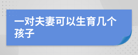 一对夫妻可以生育几个孩子