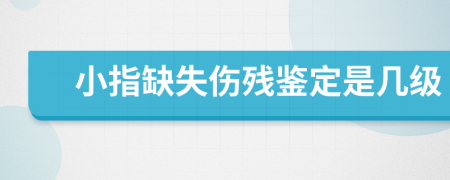 小指缺失伤残鉴定是几级