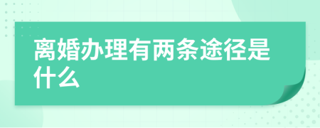 离婚办理有两条途径是什么