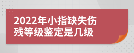 2022年小指缺失伤残等级鉴定是几级