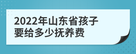 2022年山东省孩子要给多少抚养费