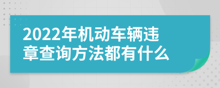 2022年机动车辆违章查询方法都有什么