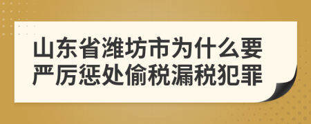 山东省潍坊市为什么要严厉惩处偷税漏税犯罪