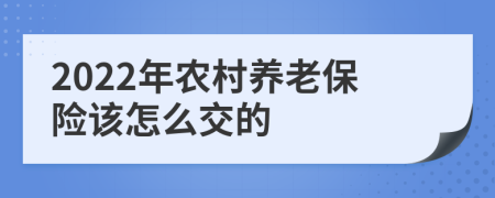 2022年农村养老保险该怎么交的