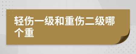 轻伤一级和重伤二级哪个重