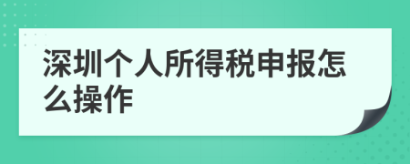 深圳个人所得税申报怎么操作