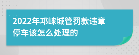 2022年邛崃城管罚款违章停车该怎么处理的