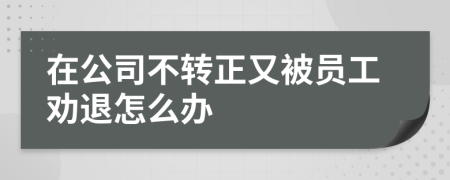 在公司不转正又被员工劝退怎么办