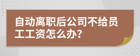 自动离职后公司不给员工工资怎么办？