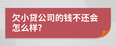 欠小贷公司的钱不还会怎么样?