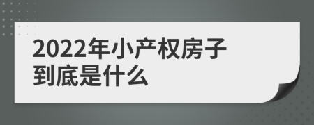 2022年小产权房子到底是什么