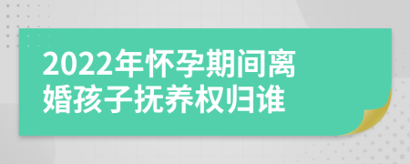 2022年怀孕期间离婚孩子抚养权归谁