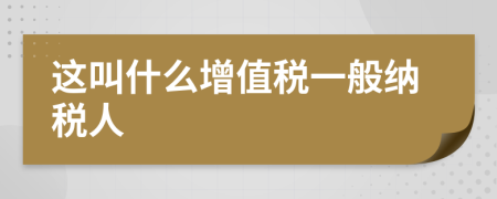 这叫什么增值税一般纳税人