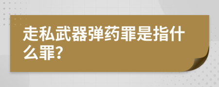 走私武器弹药罪是指什么罪？