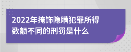 2022年掩饰隐瞒犯罪所得数额不同的刑罚是什么