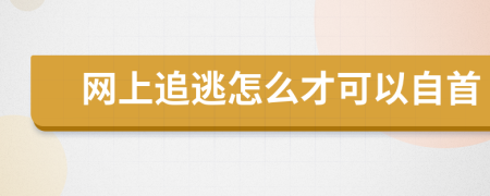 网上追逃怎么才可以自首