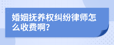 婚姻抚养权纠纷律师怎么收费啊？