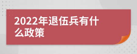 2022年退伍兵有什么政策
