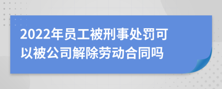 2022年员工被刑事处罚可以被公司解除劳动合同吗