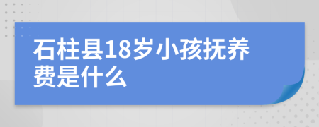 石柱县18岁小孩抚养费是什么