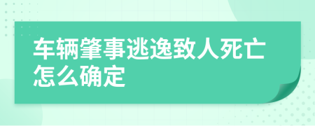 车辆肇事逃逸致人死亡怎么确定