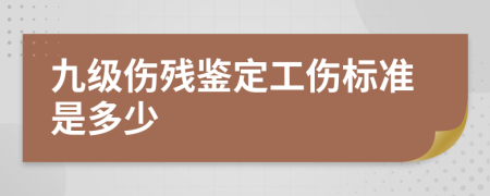 九级伤残鉴定工伤标准是多少