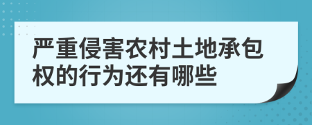 严重侵害农村土地承包权的行为还有哪些