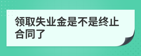 领取失业金是不是终止合同了