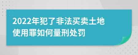 2022年犯了非法买卖土地使用罪如何量刑处罚