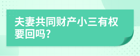 夫妻共同财产小三有权要回吗?