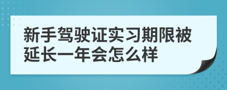 新手驾驶证实习期限被延长一年会怎么样