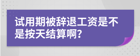 试用期被辞退工资是不是按天结算啊？