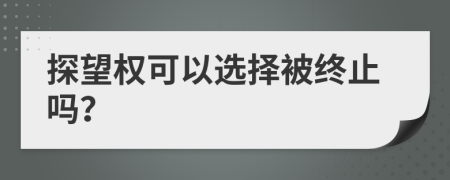 探望权可以选择被终止吗？