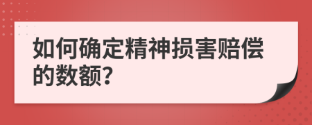 如何确定精神损害赔偿的数额？