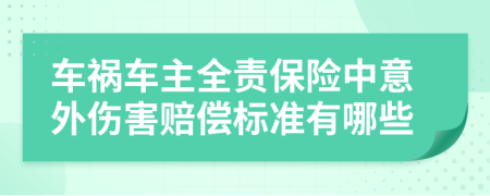 车祸车主全责保险中意外伤害赔偿标准有哪些