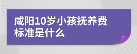 咸阳10岁小孩抚养费标准是什么