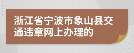 浙江省宁波市象山县交通违章网上办理的