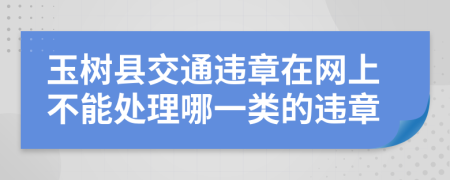 玉树县交通违章在网上不能处理哪一类的违章