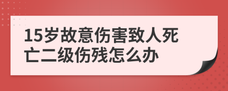 15岁故意伤害致人死亡二级伤残怎么办