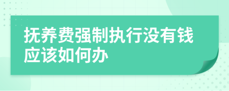 抚养费强制执行没有钱应该如何办